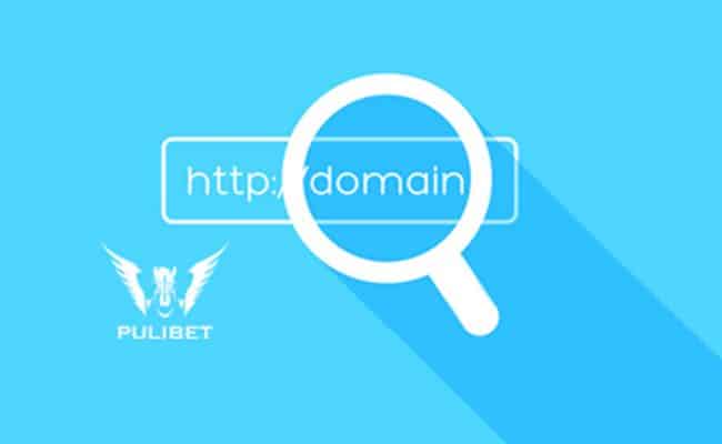 Pulibet248 Güncel Adres