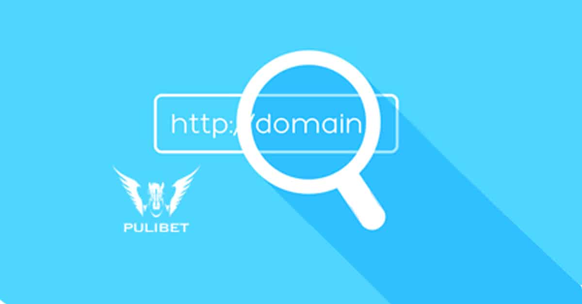 Pulibet717 Yeni Adres