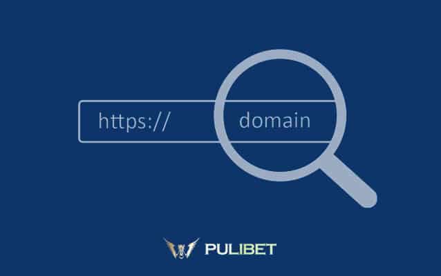 Pulibet729 Yeni Adres