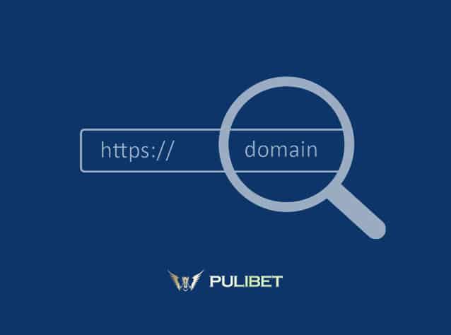Pulibet729 Yeni Adres