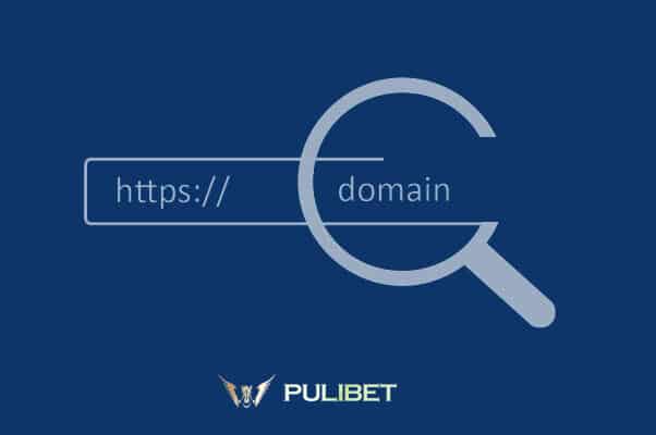 Pulibet733 Yeni Adres