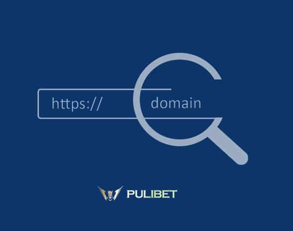 Pulibet733 Yeni Adres